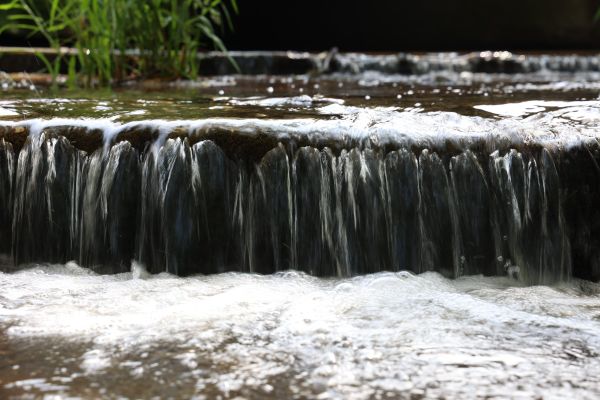 Les débits des cours d'eau sont sous haute surveillance. La sécheresse s'installe et les restrictions d'usage de l'eau se renforcent.