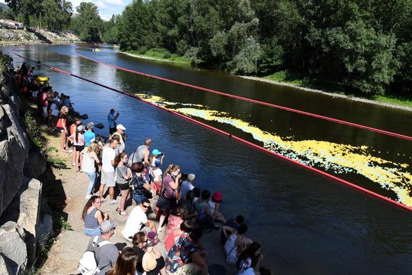 Une course géante avec des milliers de canards en plastique prévue sur la  Garonne à Toulouse