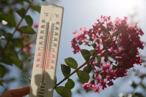 Canicule. Record de températures en Bretagne