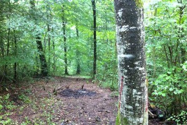 Le corps calciné de l'infirmière a été retrouvé le 14 juillet 2014 en forêt de Haye.