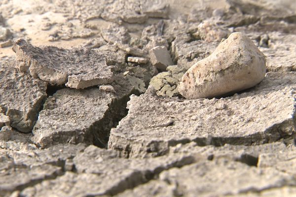 Les Pyrénées-Orientales connaissent une sécheresse sans précédent.