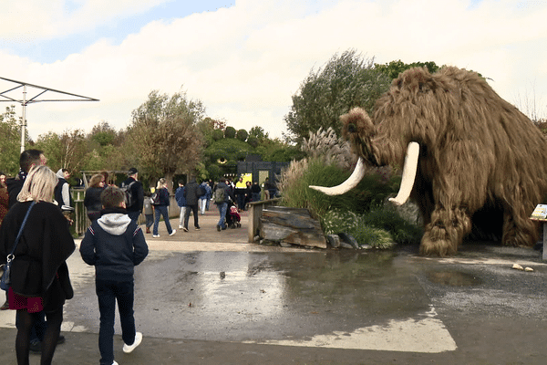 En 2022, le parc Terra Botanica, près d'Angers, a battu son record en accueillant plus de 460 000 visiteurs.