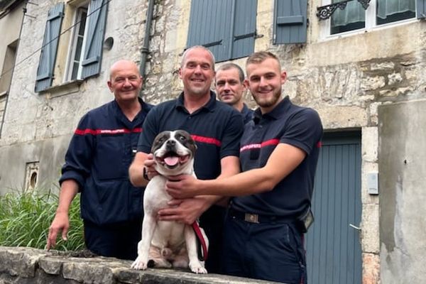 Panda, l'American Staff sauvé par quatre pompiers sur un toit de Chaumont.