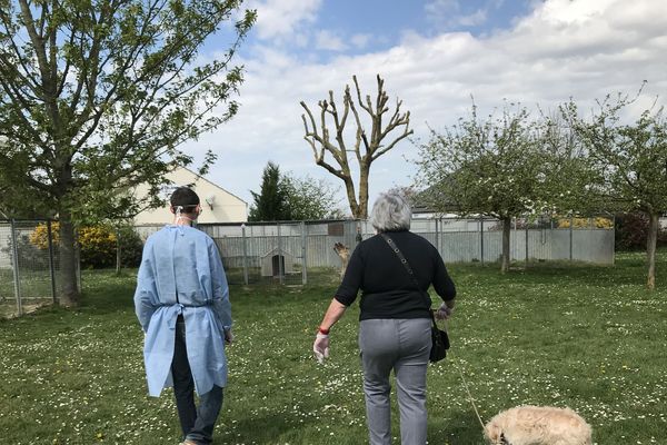 Pascale et Gommette arrivent au refuge pour rencontrer le chien Maestro