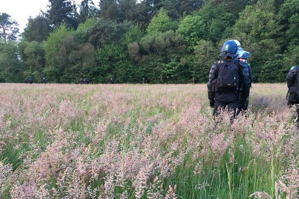 Des gendarmes mobiles sur la Zad de Notre-Dame-des-Landes, 15 mai 2018