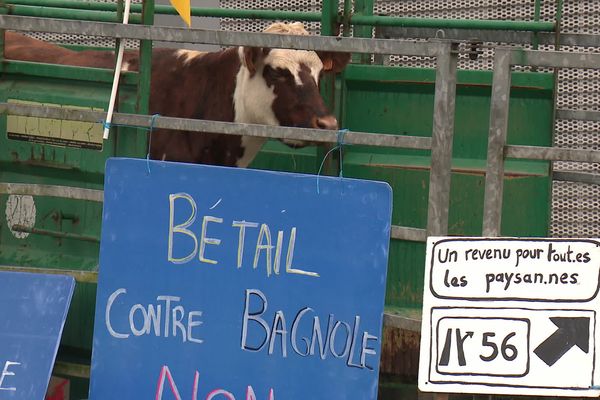 Rassemblement symbolique devant une concession automobile de marque allemande à l'appel de la Confédération Paysanne, lundi 18 novembre à Vannes, pour protester contre les accords du Mercosur.