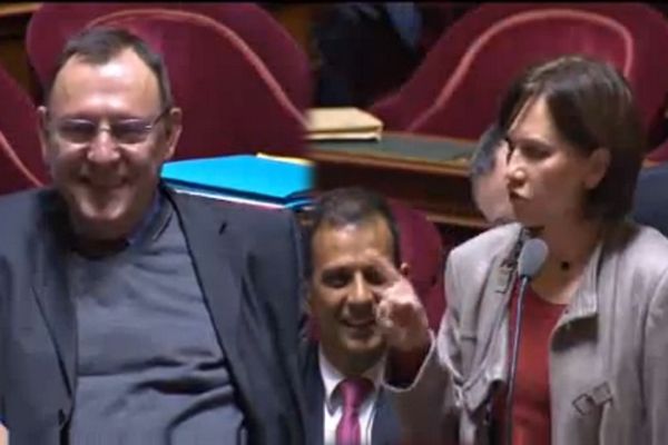 Capture-image de la séance du Sénat du jeudi 17 janvier 2013.