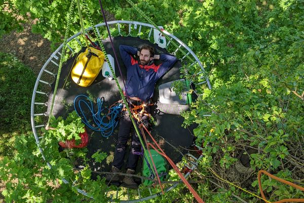 Ronan Moinet a passé sept jours en haut d'un chêne de 25 mètres.