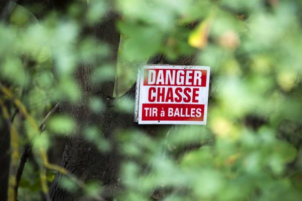 Ce samedi, dans une forêt de la petite commune de Serres-sur-Arget, en Ariège, le président de l'association de chasseurs a été visé par des tirs de carabine à plomb, alors qu'il participait à une battue avec une trentaine de personnes