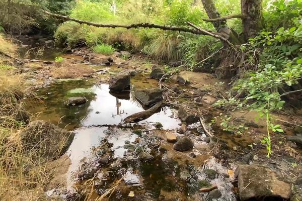 La Glane, qui approvisionne le bassin de la Xaintrie, est presque à sec.