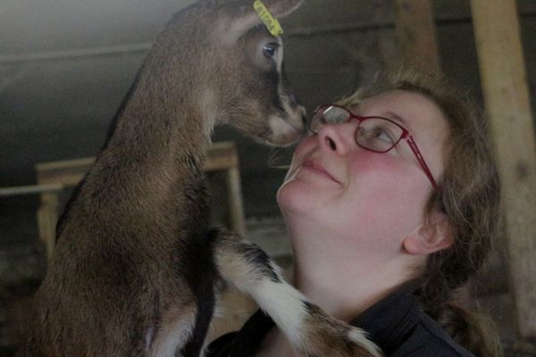 Sarah ambitionne de lancer son élevage de chèvres