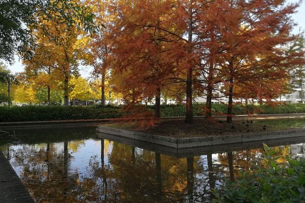 Nancy est déjà ville verte et ville d'eau mais veut faire plus encore, d'ici à 2030, dans le cadre de la transition écologique.