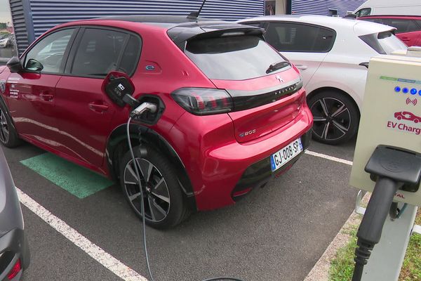 Un quart des véhicules vendus sont électriques dans cette concession de Bergerac.