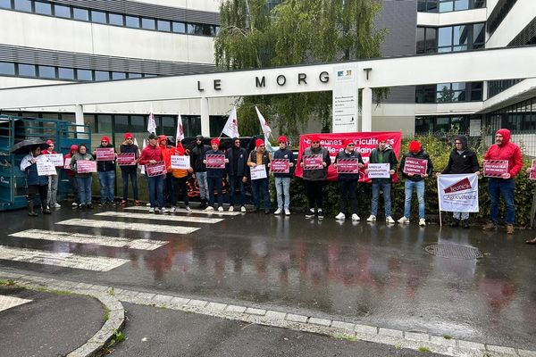 Les agrciulteurs ont manifesté devant les locaux de la Direction Départementale des Territoires et de la Mer (DDTM) à Rennes ce mercredi 19 juin pour réclamer le versement de leurs aides Bio et MAEC.