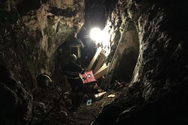 Les pompiers tentent d'accéder à l'endroit où se trouve le chien.