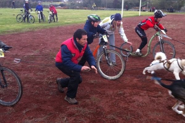 Ici, le participant ne court pas mais pédale, son VTT arrimé à son chien