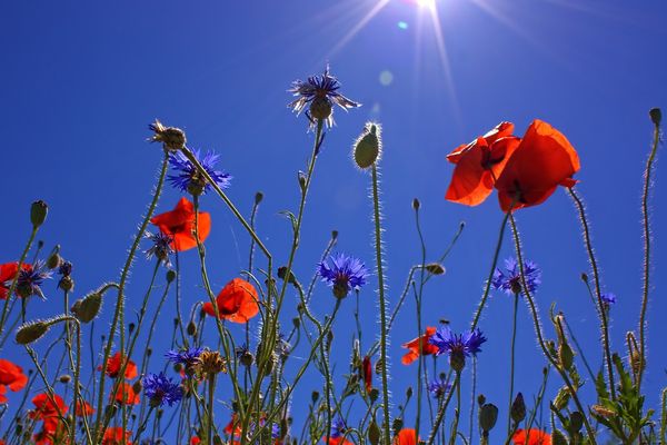 Une très belle journée dans le Nord Pas-de-Calais ce lundi.