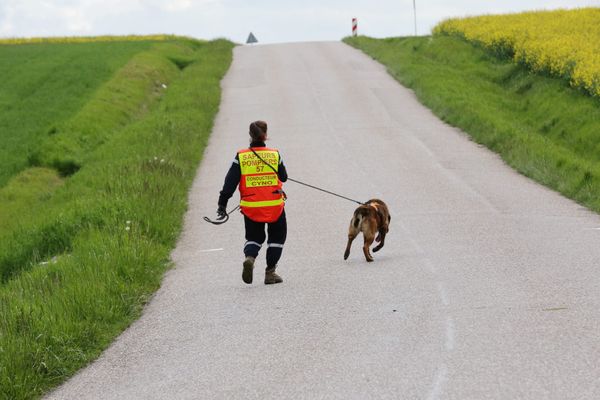 C'est avec l'aide de chiens-pompiers que le jeune adolescent a pu être localisé, à deux kilomètres de chez lui (illustration : photo d'archive)