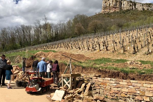 Un stage de remise en état des murs en pierre sèche au pied de la Roche de Solutré en Saône-et-Loire.