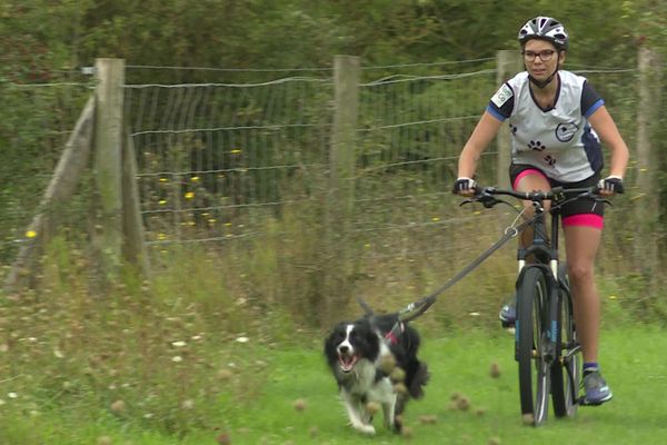 Audrey Vandenberghe, présidente de l'Association Sportive de Canicross de la Côte et son chien Mambo à l'entraînement