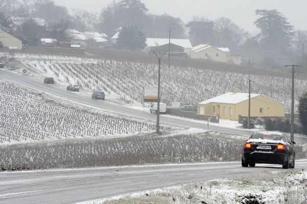 Dans le vignoble nantais, vendredi 18 janvier