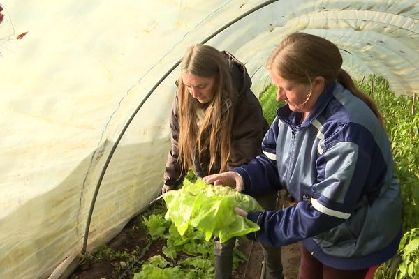 À Mont-de-Marsan, ce jardin produit 15 tonnes de fruits et légumes par an, à destination des restos du Cœur.