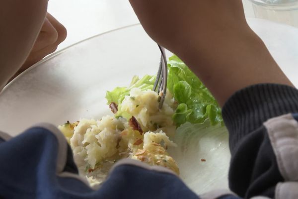 Ces écoliers bénéficient de légumes frais provenant d'une quinzaine de producteurs de la Vienne.