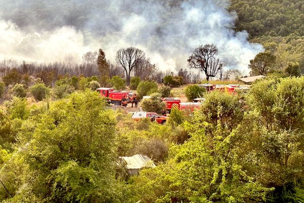 Le 17 juillet dernier, le feu s'était déclaré route de Carbuccia, dans la vallée de la Gravona.