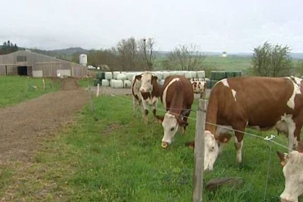 Le "Printemps Bienvenue à la ferme" s'est invité au GAEC du Cèdre Bleu, à Rageade (15).