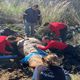 Saintes-Maries-de-la-Mer (Bouches-du-Rhône) - les pompiers du Gard sauvent un cheval tombé dans une crevasse - 11 avril 2024.