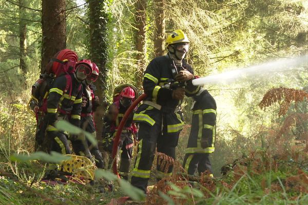 Les pompiers en plein exercice lors de leur formation aux feux de forêt à Berrien, dans le Finistère