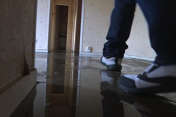 Le dégât des eaux a frappé plusieurs appartements dans cet immeuble de Limoges.