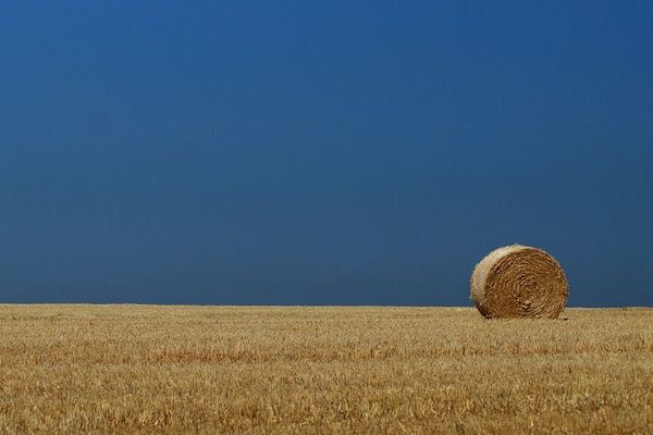 Les conditions climatiques estivales affectent particulièrement les agriculteurs de Bourgogne