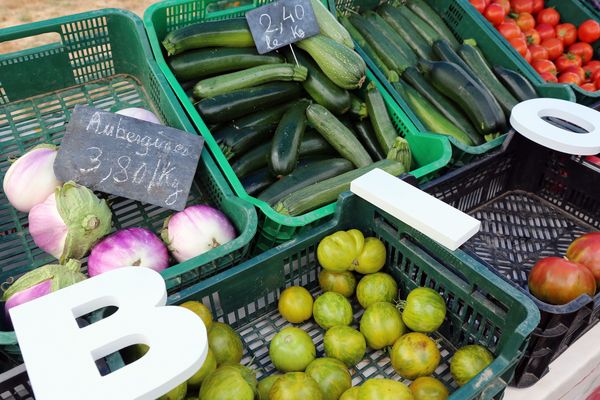 A Huisseaux sur Cosson (Loir-et-Cher), le 11 septembre 2016, la fête de l'agriculture biologique se tient à la ferme des Grotteaux. 