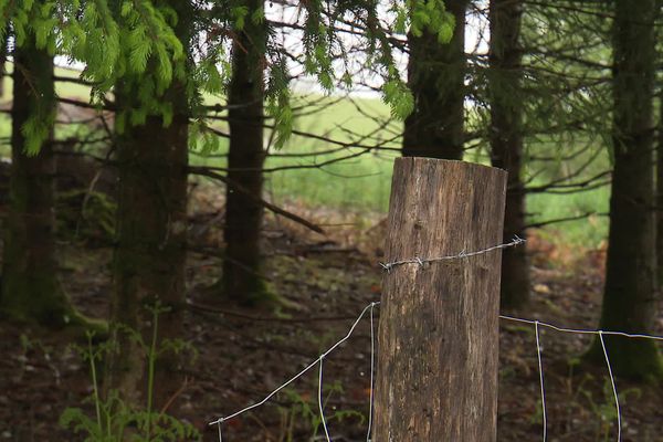 Des recherches seront prochainement menées pour retrouver ce qui reste des dépouilles des soldats, afin de leur donner une sépulture décente.