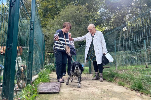 Agnès a craqué pour Jessy, une jeune épagneul.