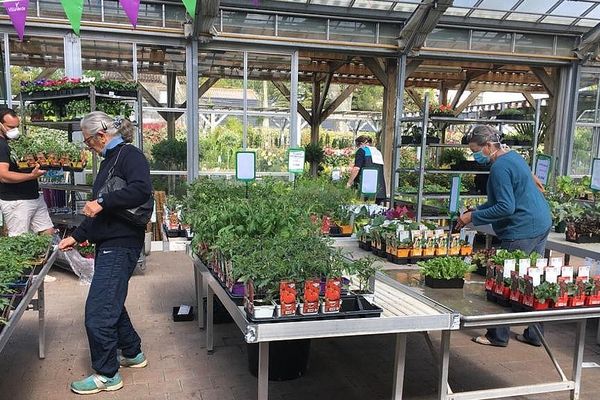 A Lunel, les plants de légumes sont dévalisés par les confinés en mal de potagers.