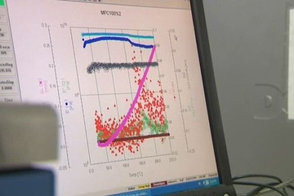 La cellulose, dont provient la nanocellulose, est la matière organique la plus abondante sur la terre.