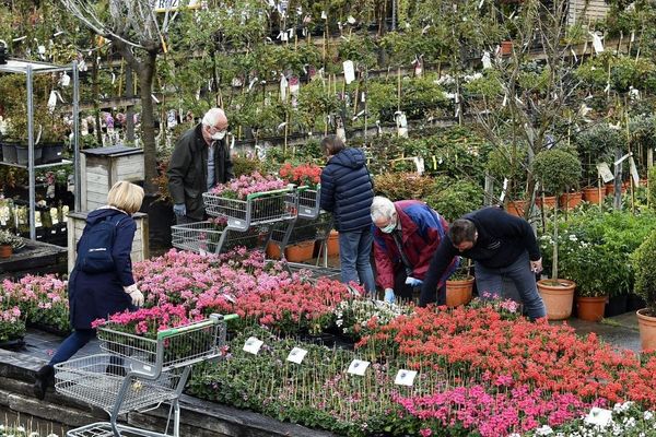 Depuis le début du déconfinement, les Français ont des envies de jardinage, notamment dans le Puy-de-Dôme et l'Allier.