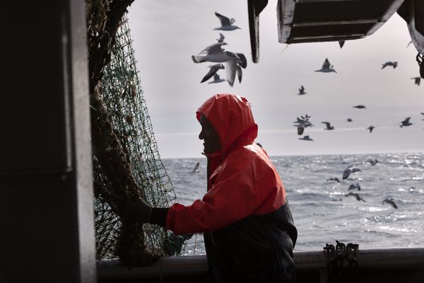 Tous les bateaux devront transporter à bord un dispositif de contrôle.