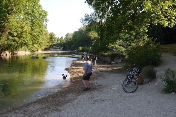 Le Lez en bas du Parc Méric