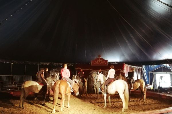 Le spectacle de Noël de la compagnie Cirko Galop ne pourra pas avoir lieu