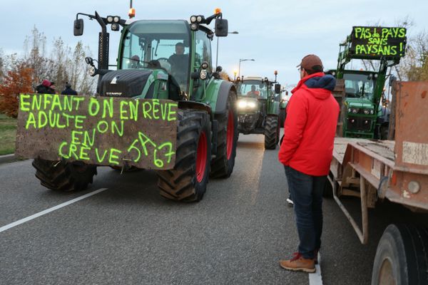 L'avenir des agriculteurs est incertain, qu'ils essaient de faire leur transition écologique ou non.