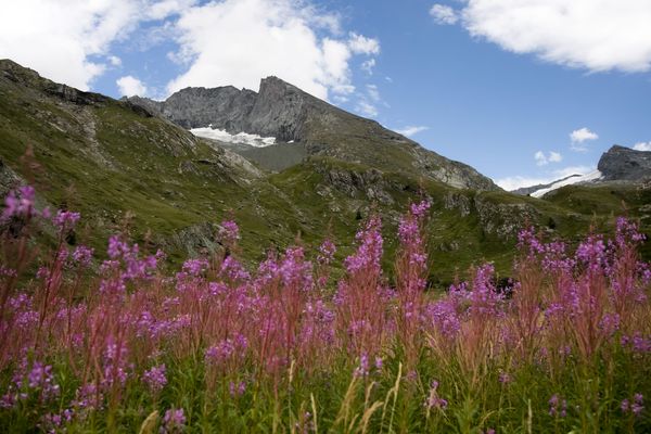 La vallée d'Averole dans le Parc national de la Vanoise en Savoie. (Illustration)