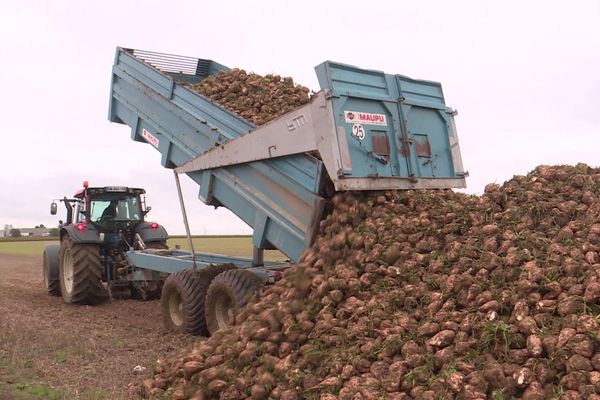 Autour du fleuve côtier de l'Aa, selon les professionnels, il faudrait qu'il ne pleuve pas pendant plusieurs semaines avant de pouvoir retourner aux champs