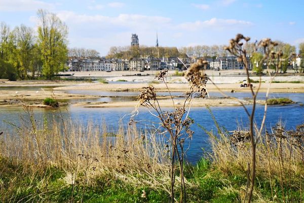 La cathédrale vue des bords de Loire d'Orléans.