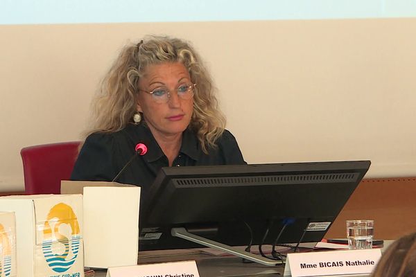 Nathalie Bicais, la maire (LR) de La Seyne-sur-Mer, est entendue depuis lundi par la brigade financière de la police judiciaire de Toulon.