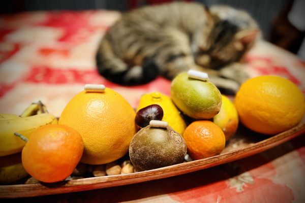 Vous vous sentez fatigué à l'approche de l'hiver ? Vous voulez éviter les bactéries ou microbes qui s'activent et renforcer votre système immunitaire ? Comment mieux s'alimenter ? Faut-il se tourner vers les compléments alimentaires. Voici quelques astuces conseillées par des professionnels de la santé.