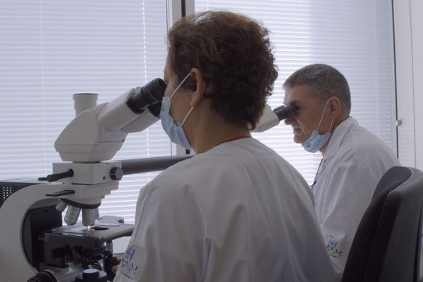 Samia Gonzalez et Bernard Fouet, médecins anatomo-pathologistes