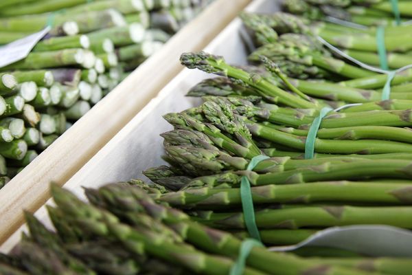 Légume délicat et délicieux du printemps, l'asperge subit les conséquences de l'épidémie du Covid-19.